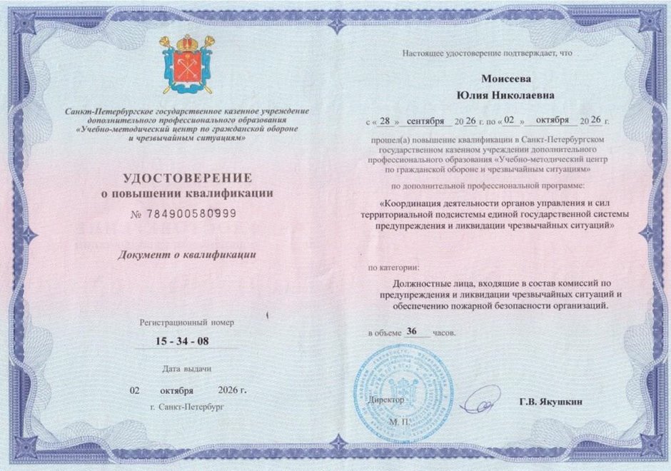 2026-2027 Моисеева Ю.Н. (ГО ЧС)